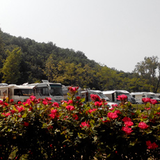Binnenaanzicht met het groene gebied van het Parco del Monte Corno op de achtergrond
